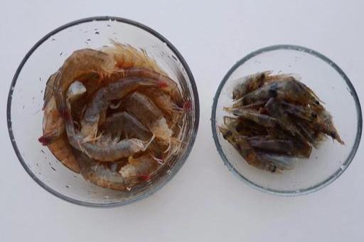 潮汕砂锅粥做法和配料（正宗潮汕砂锅粥的做法）-10