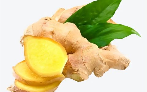 姜属于什么菜类蔬菜「科普」