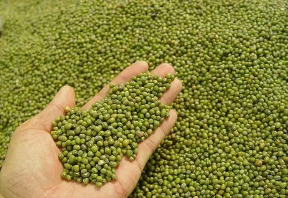 怎么熬绿豆粥又简单又好喝，煮绿豆容易烂窍门-9