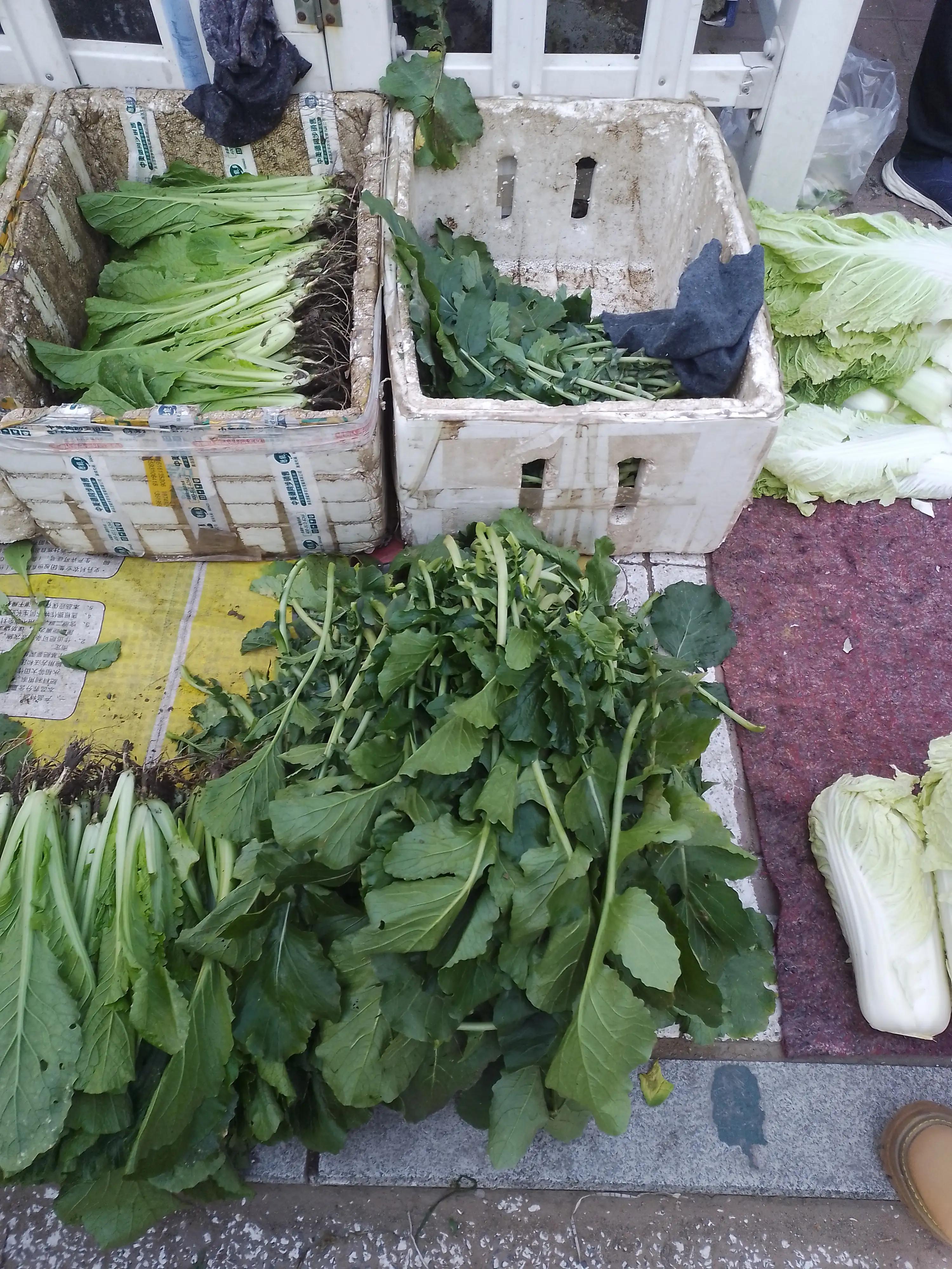 农家小豆腐怎么做好吃，怎样做小豆腐好吃？-3