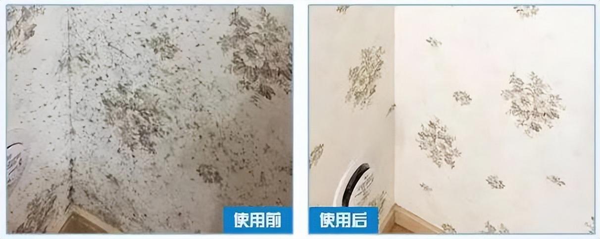 家里墙壁发霉发黑怎么办_墙面除霉剂真的能去除霉吗-7