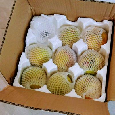 黄桃罐头怎么做（家庭自制黄桃罐头的做法）-2