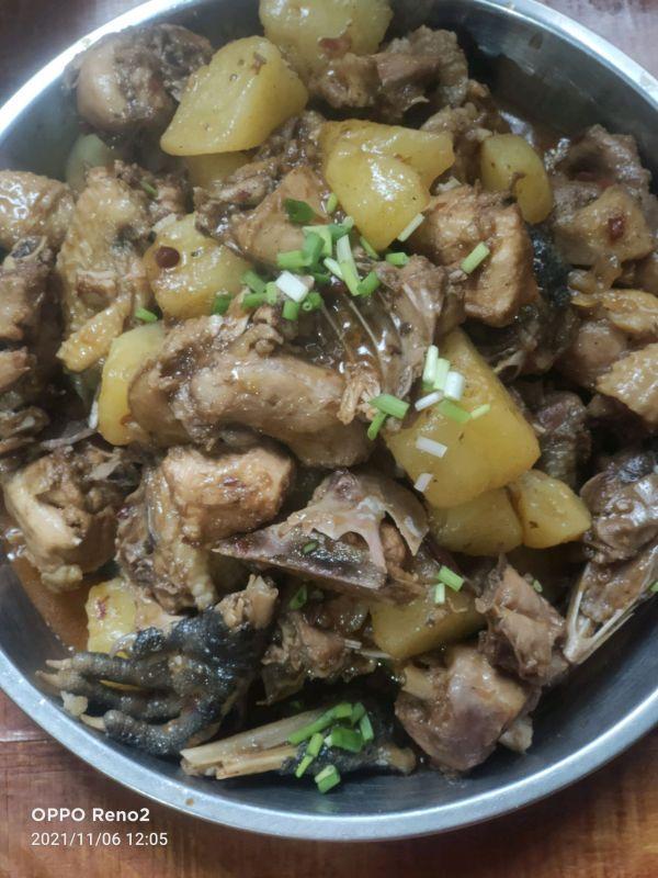 土豆炖鸡块怎么炖好吃_最简单的鸡肉炖土豆-1