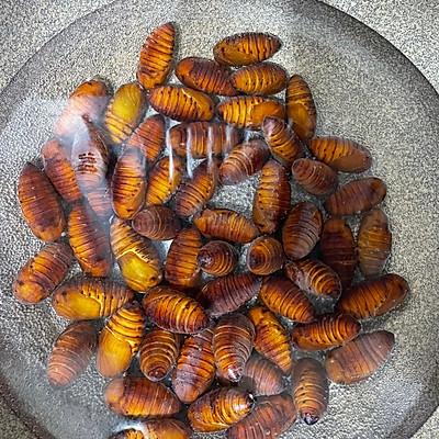 爆炒蚕蛹怎么做好吃_爆炒蚕蛹的正宗做法-3