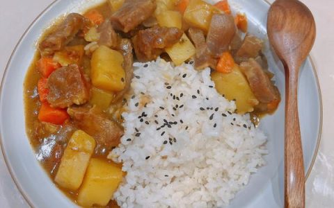 咖喱牛肉土豆饭的做法（咖喱牛肉饭怎么做好吃又烂）
