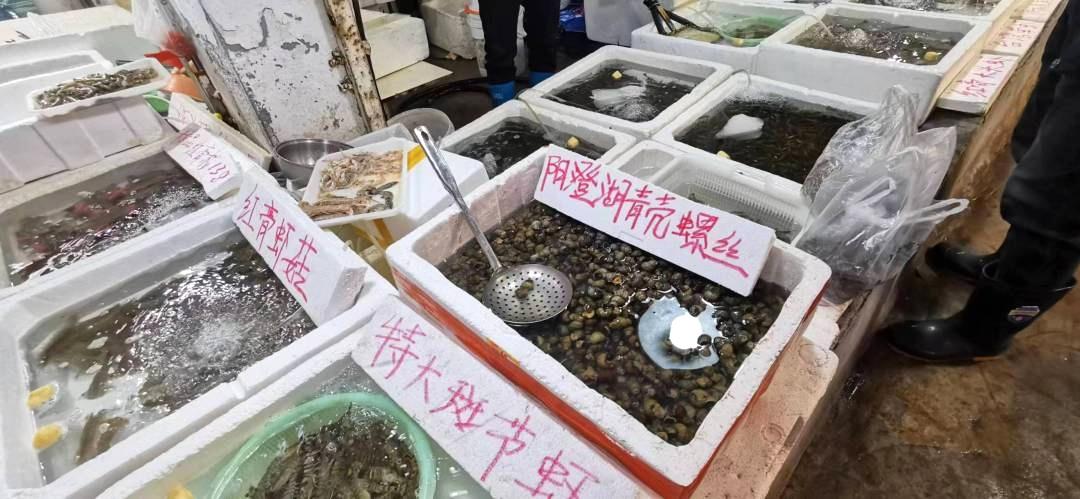 螺蛳的做法最正宗的做法（去壳螺丝肉怎么做好吃）-1