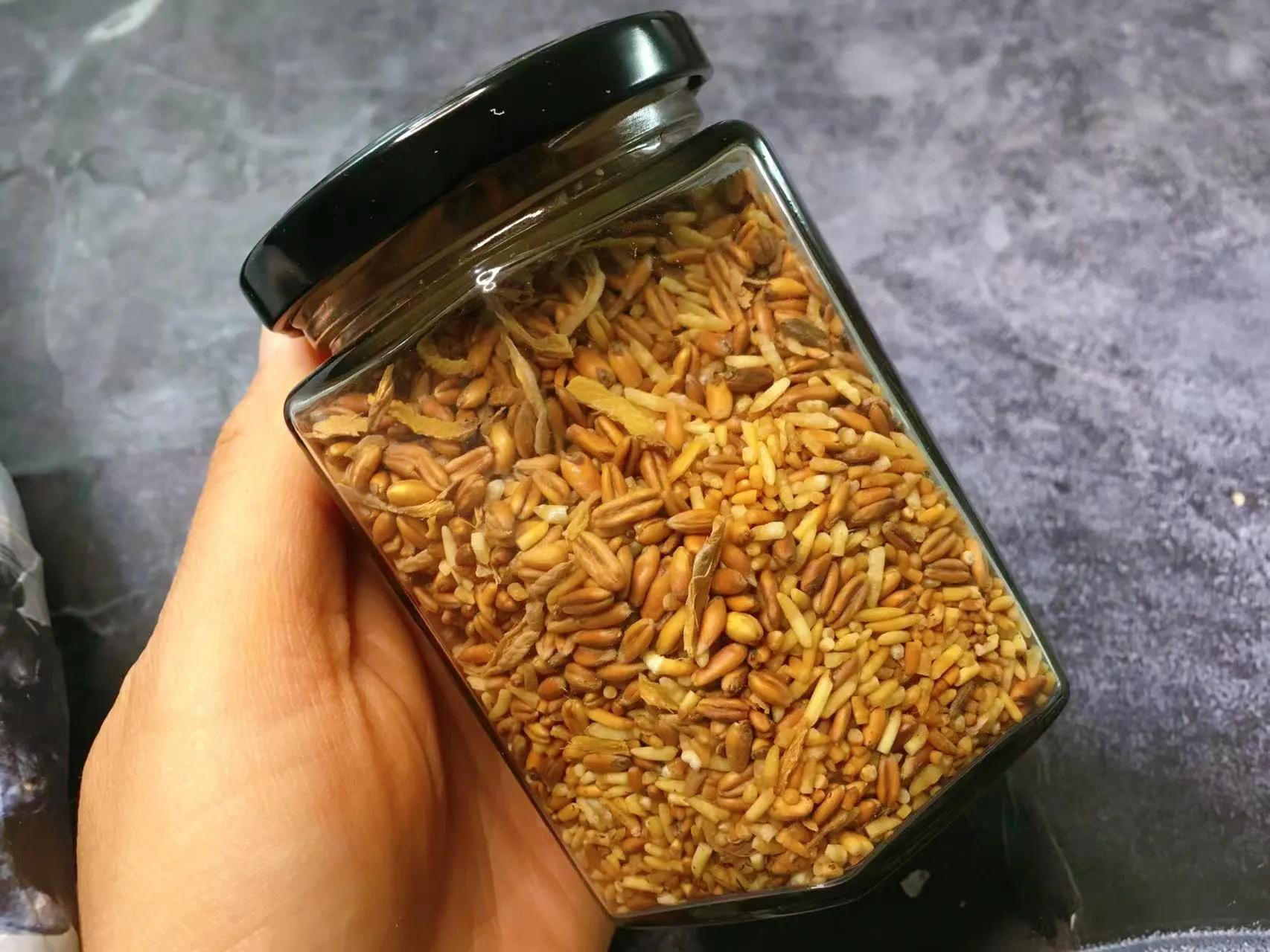 燕麦米的做法大全家常（炒米茶如何保存）-10