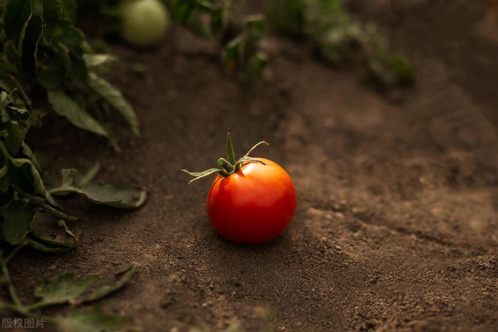 粮食经纪人是什么意思（农产品经纪人的作用）-1