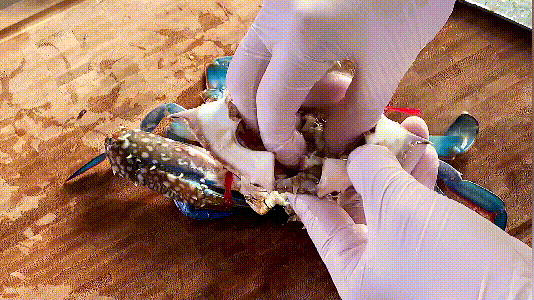 家庭制作香辣蟹的方法（香辣蟹的制作方法和教程）-7