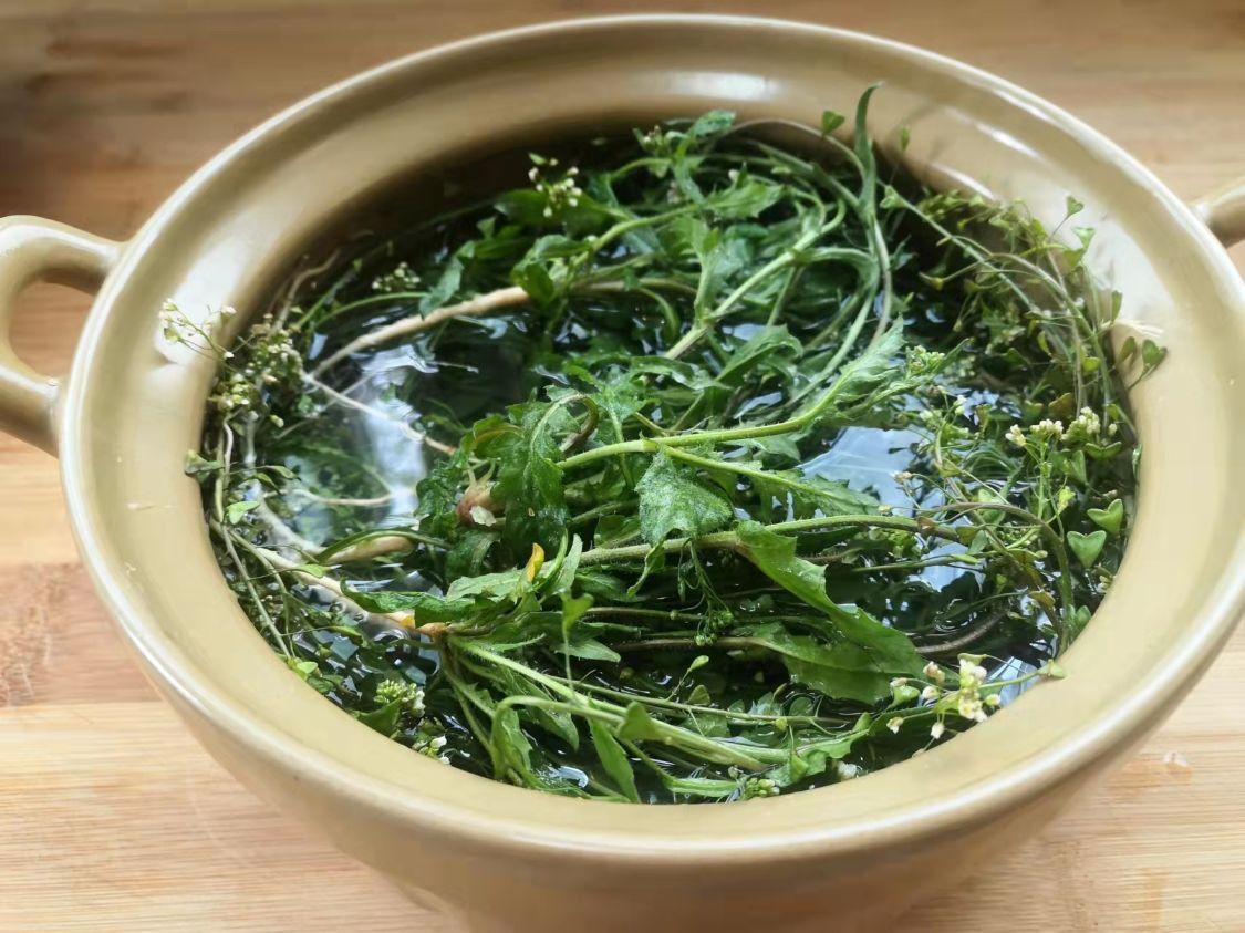地菜煮鸡蛋怎么做好吃（地菜如何做汤）-7