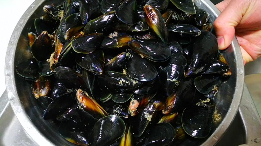 海虹的做法及清洗方法（海虹怎样洗才干净）-5