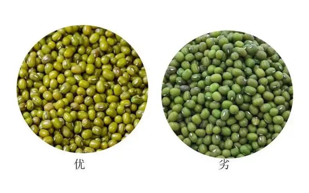 怎么熬绿豆粥又简单又好喝，煮绿豆容易烂窍门-7