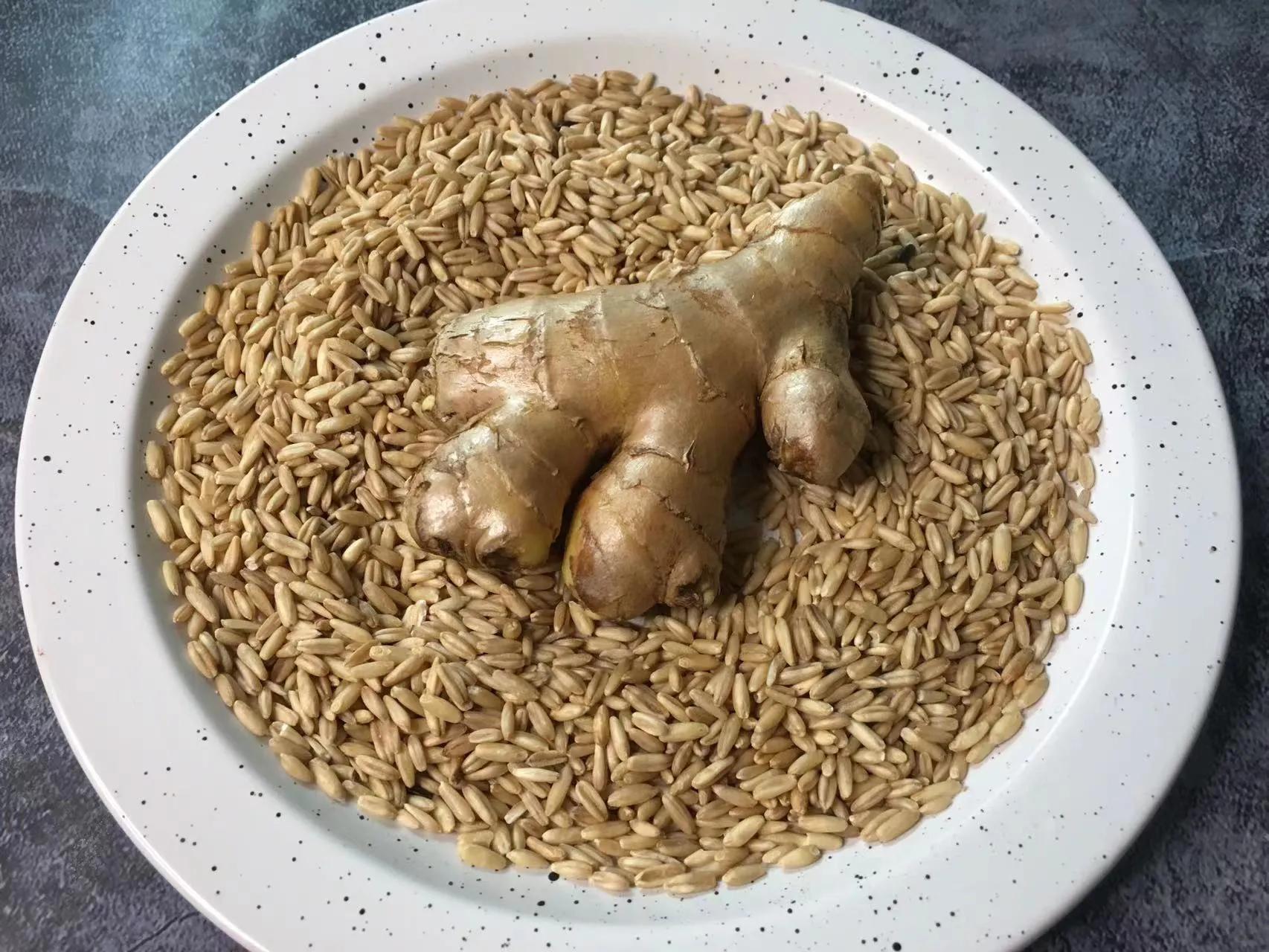 燕麦米的做法大全家常（炒米茶如何保存）-2