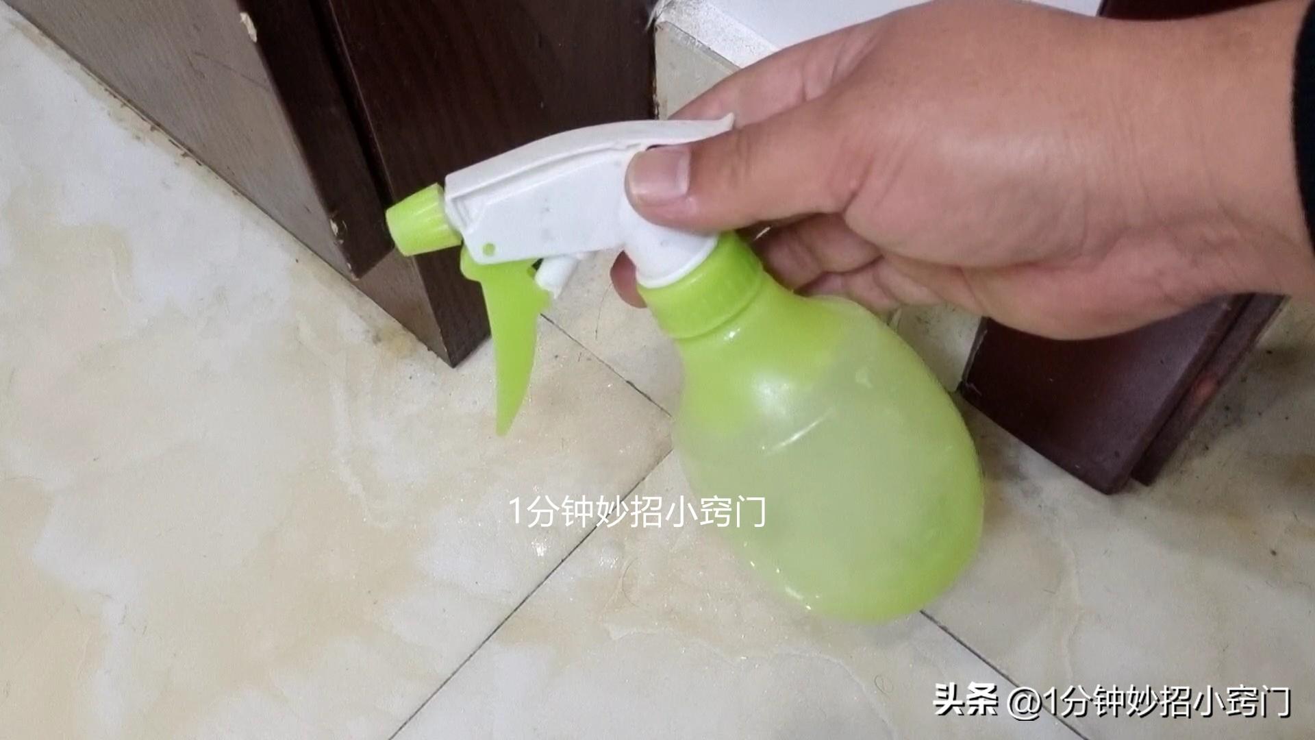 家里有小红蚂蚁怎么能彻底消灭？（值得收藏）-10