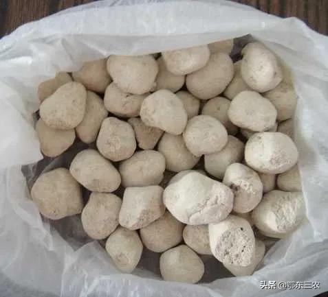 自制甜酒曲需要哪些原材料_怎样自制甜酒曲酵母-5
