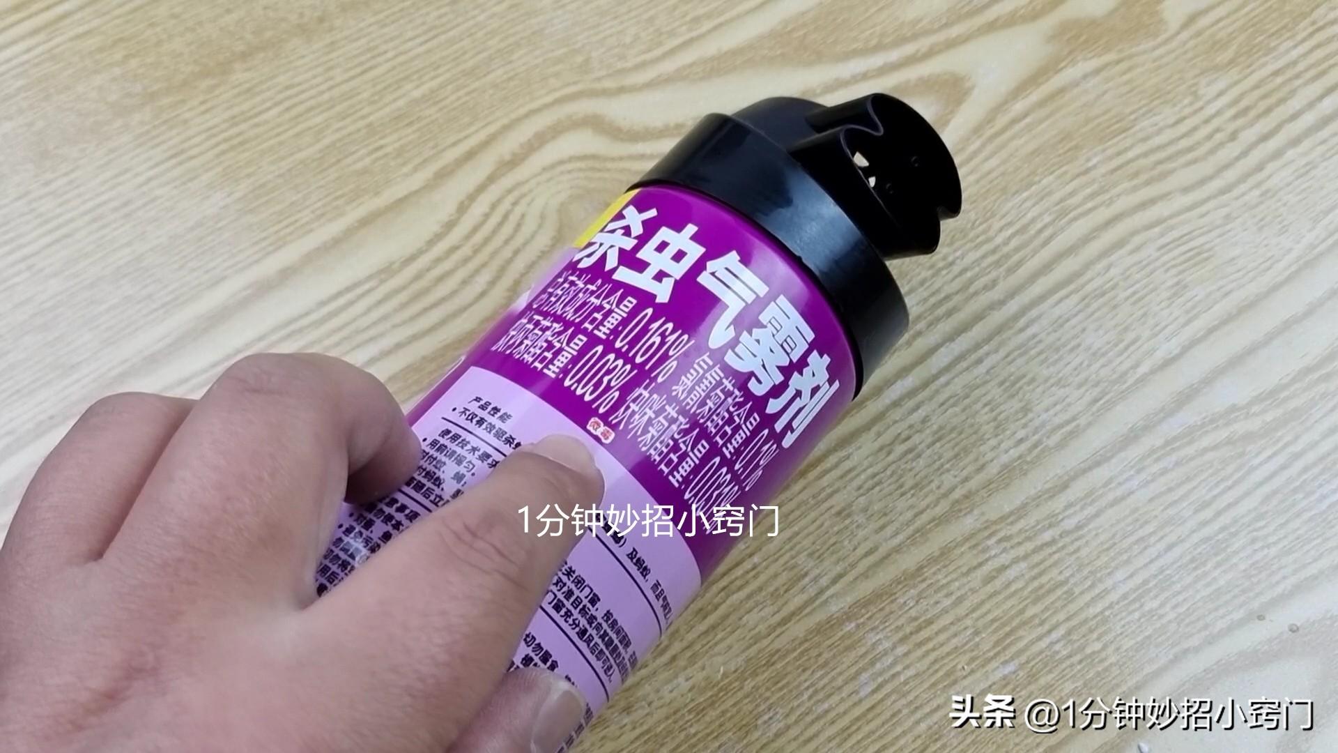 家里有小红蚂蚁怎么能彻底消灭？（值得收藏）-9