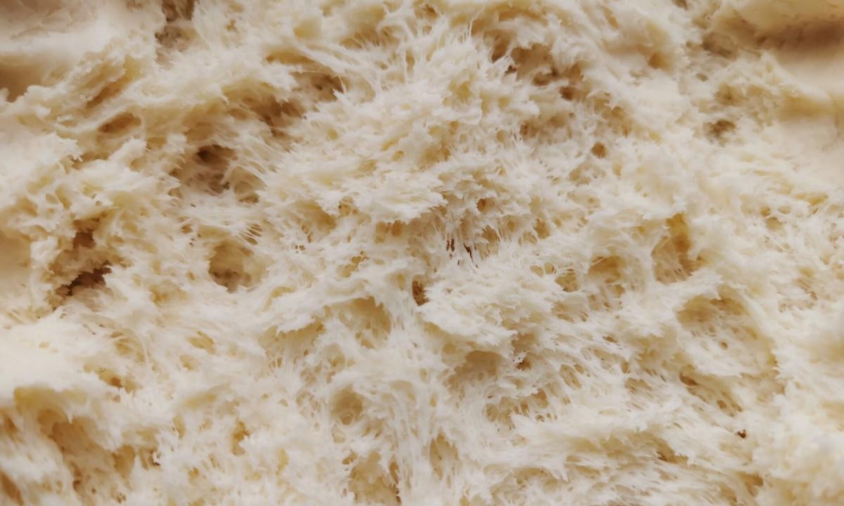 南瓜馒头的做法和发面全过程 怎么蒸南瓜馒头好吃又松软-3