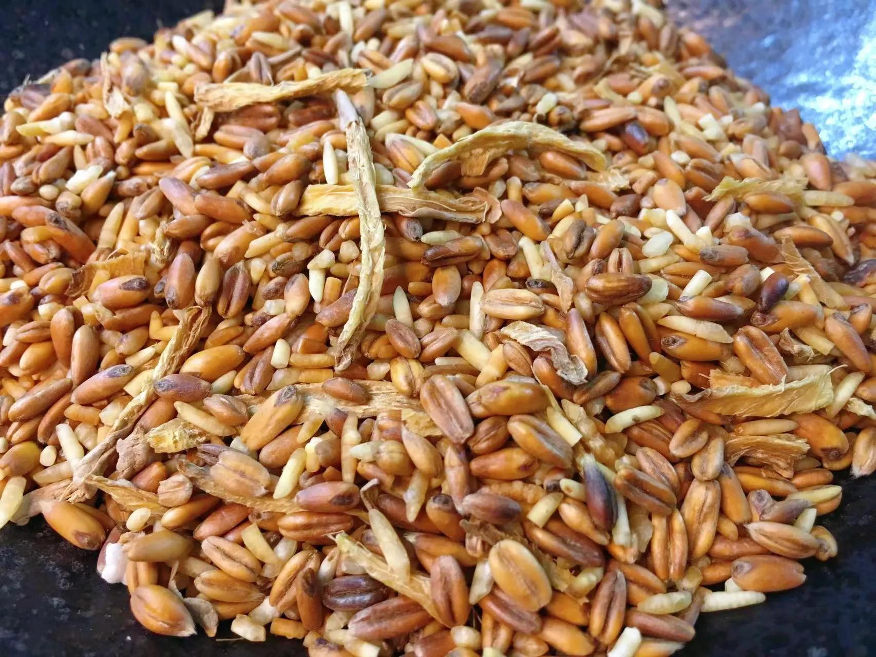 燕麦米的做法大全家常（炒米茶如何保存）-1