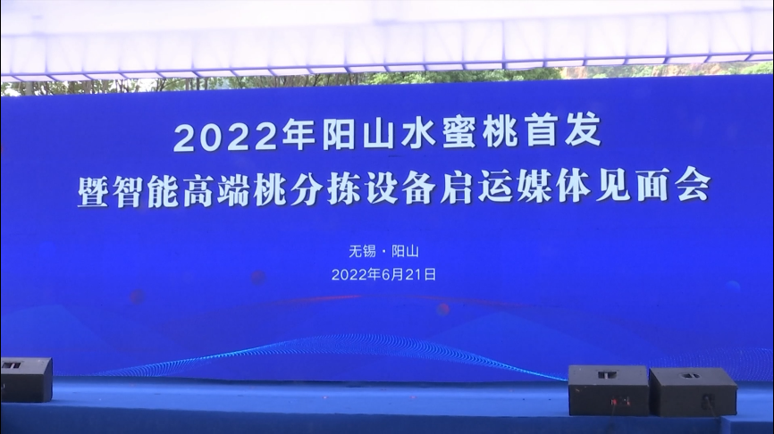 无锡水蜜桃什么时候吃最好（无锡阳山水蜜桃的介绍）-2
