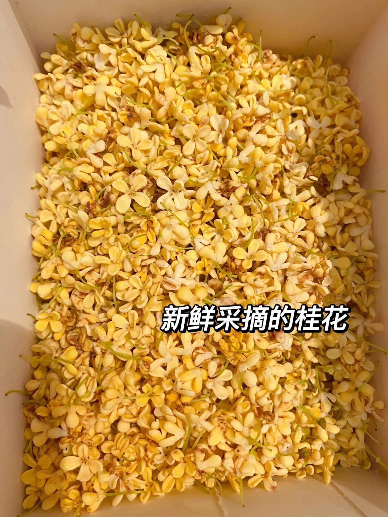 干桂花做桂花蜜的做法 新鲜桂花做桂花蜜-6