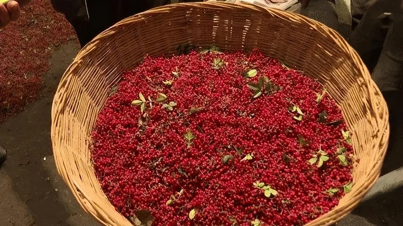 大红袍花椒产地在哪里最好 ？-11