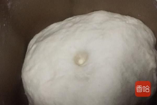 梅菜扣肉饼最正宗的做法_广东梅菜蒸肉饼的做法-7