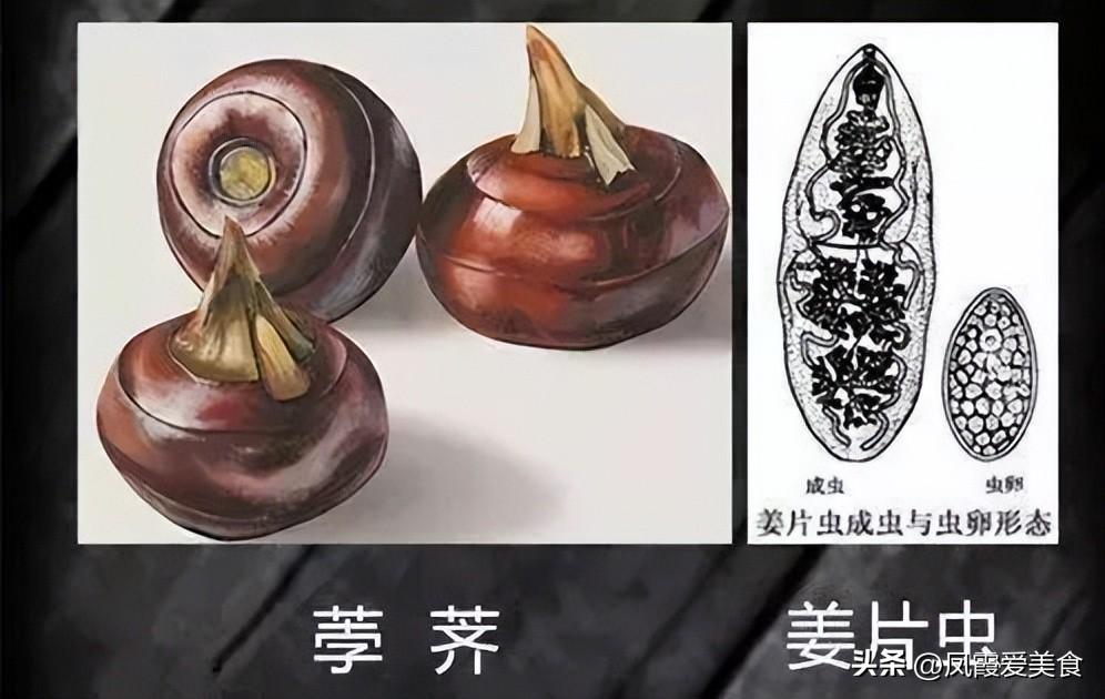 马蹄的最佳吃法和做法（荸荠怎样做着吃好吃）-2