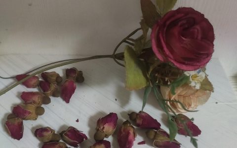 玫瑰纯露怎么制作方法？
