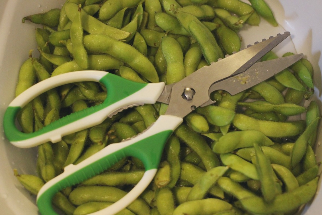 毛豆怎么煮好吃又入味（煮毛豆需要注意什么）-5