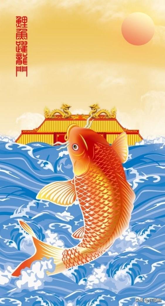 化身鲲鹏争霄汉,只待锦鲤跃龙门_锦鲤跳龙门什么意思？-4