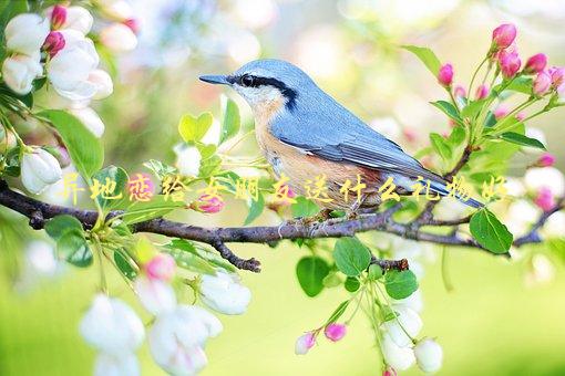 异地恋给女朋友送什么礼物好，有哪些创意礼物推荐？-1