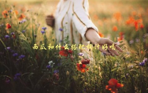 西瓜和什么搭配榨汁好喝，推荐几款美味组合