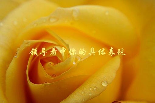 领导看中你的具体表现，哪些表现能让你获得领导的认可-1