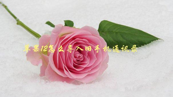 苹果12怎么导入旧手机通讯录，简单易行的步骤-1