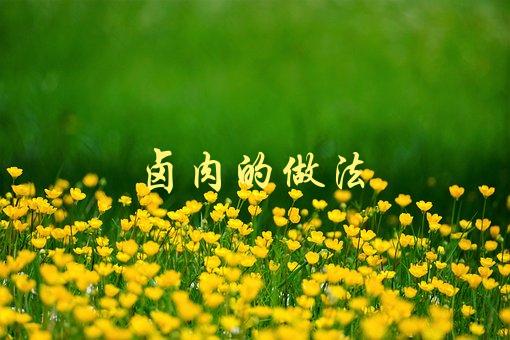 卤肉的做法(怎样才能让卤肉更加美味可口？)-1