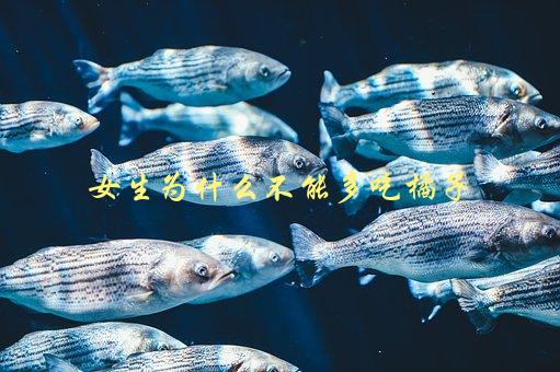 女生为什么不能多吃橘子，会引起哪些不良反应-1