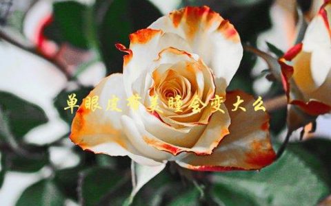单眼皮带美瞳会变大么，真相揭秘