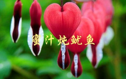 蜜汁炖鱿鱼(怎样做出口感嫩滑的美味佳肴)
