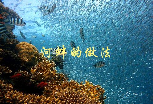 河蚌的做法(如何制作美味可口的河蚌料理)-1