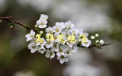 怎样煲鸡汤(让你的鸡汤口感更加鲜美)