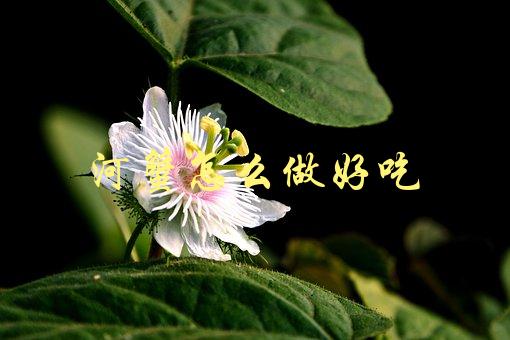 河蟹怎么做好吃(分享三种口感鲜美的做法)-1