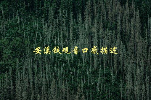 安溪铁观音口感描述，有哪些特点和味道-1