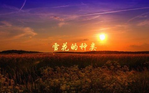 雪花的种类，有哪些不同的形状和结构