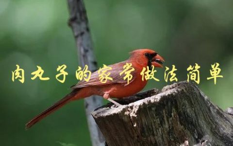 肉丸子的家常做法简单(怎样才能做出美味的肉丸子呢？)