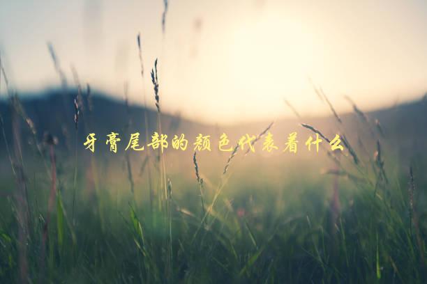 牙膏尾部的颜色代表着什么，你知道吗？-1