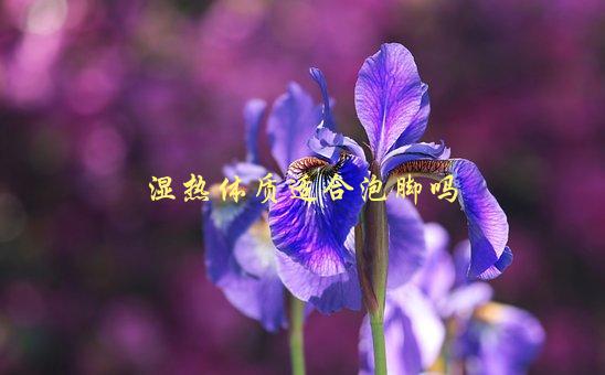 湿热体质适合泡脚吗，有哪些需要注意的事项-1