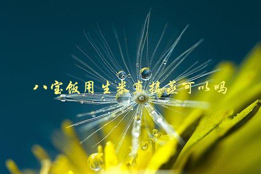 八宝饭用生米直接蒸可以吗，这种做法靠谱吗？-1