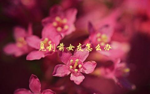 见到前女友怎么办，如何优雅地处理尴尬场面