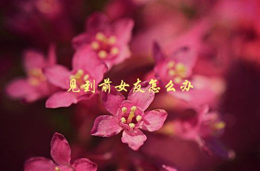见到前女友怎么办，如何优雅地处理尴尬场面-1