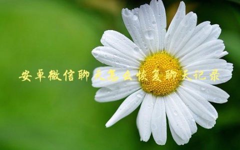 安卓微信聊天怎么恢复聊天记录，详细步骤教程